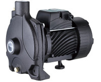 "Насос поверхностный PUMPMAN TCP170(1100Вт, Hmax-38м, Qmax-7,5м3/ч, всас 8м)" (Pumpman)