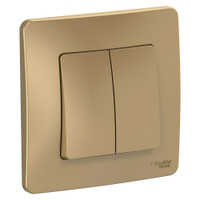 BLANCA скрытой установки двухклавишный выключатель (cх.5), 10A, 250B, титан (Systeme Electric) BLNVS010504