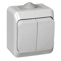 ЭТЮД Выключатель двухклавишный наружный IP44 серый (Systeme Electric) BA10-042C
