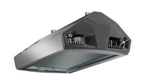 Светильник уличный ЕСАУЛ ДКУ-50 750 ШБ (Технологии Света) УТ000020649