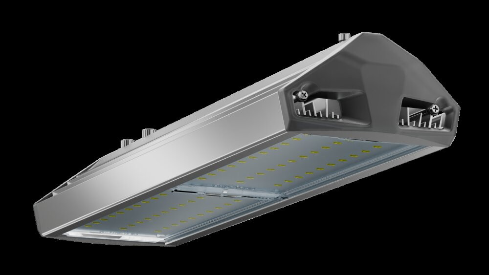Светильник уличный ЕСАУЛ ДКУ 110 750 ШБ (Технологии Света) УТ000025481