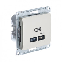GLOSSA USB РОЗЕТКА тип-C 65W высокоскор.заряд. QC, PD, механизм, БЕЖЕВЫЙ (Systeme Electric) GSL000227