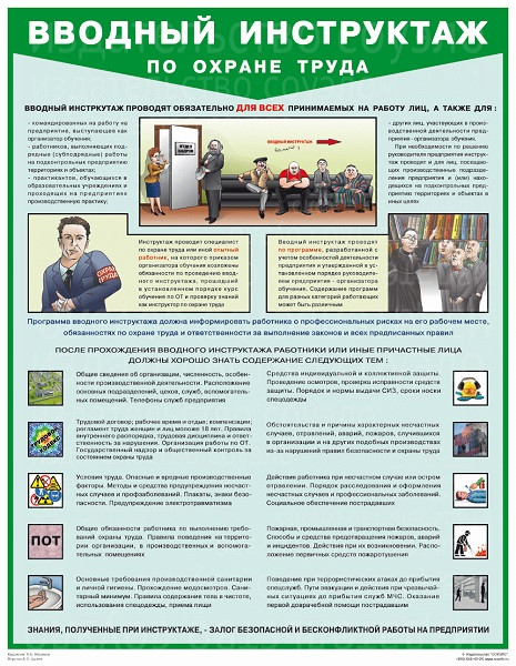 Плакат Вводный инструктаж по охране труда (1 лист, формат А2+, 465х610 мм, ламинация)