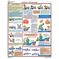 Плакаты Оказание первой помощи пострадавшим (6 листов, формат А2+, 465х610 мм, ламинация)