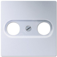 Накладка для телевизионной розетки (TV-FM)  Серия- Eco Profi. Материал- термопласт  Цвет- алюминий (крашеный). (JUNG) EP561BFPLTVAL