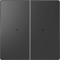 Клавиша D-Life PlusLink 2-ная без символов антрацит SD (Schneider Electric) MTN5220-6034